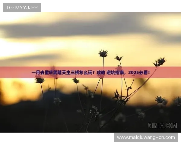玩球容错打法避坑指南防骗稳赢技巧 玩球容错打法避坑指南防骗稳赢技巧